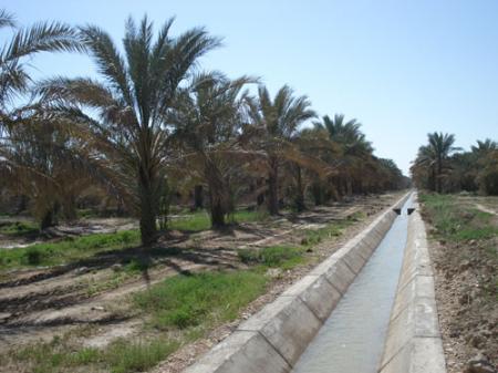 بنارآزادگان